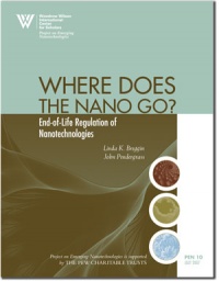 Where Does the nano Go?